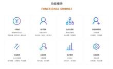 商品期权软件选择全攻略 软件服务优劣深度解析